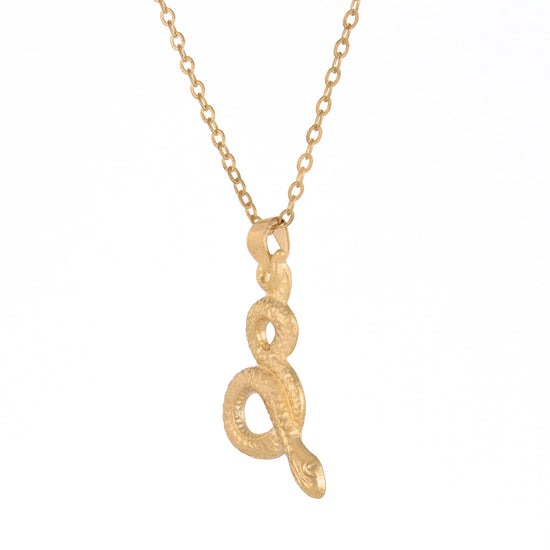 Gold Snake Chain Pendant - DIPME